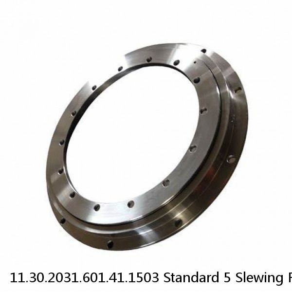 11.30.2031.601.41.1503 Standard 5 Slewing Ring Bearings