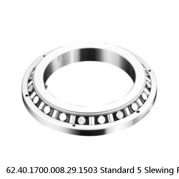 62.40.1700.008.29.1503 Standard 5 Slewing Ring Bearings