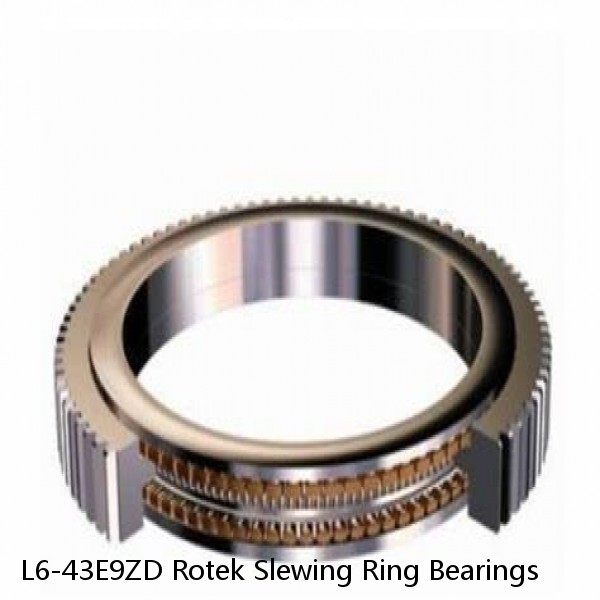 L6-43E9ZD Rotek Slewing Ring Bearings