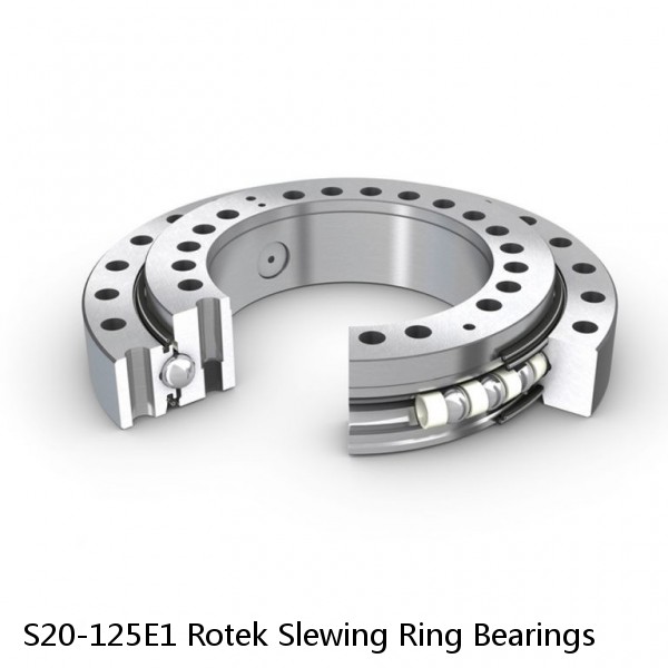 S20-125E1 Rotek Slewing Ring Bearings