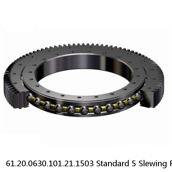 61.20.0630.101.21.1503 Standard 5 Slewing Ring Bearings