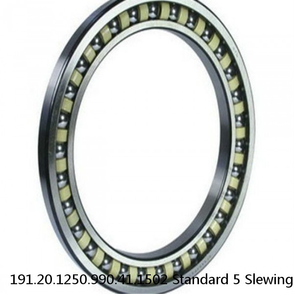 191.20.1250.990.41.1502 Standard 5 Slewing Ring Bearings