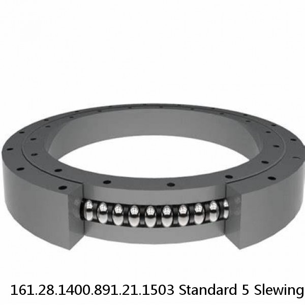 161.28.1400.891.21.1503 Standard 5 Slewing Ring Bearings