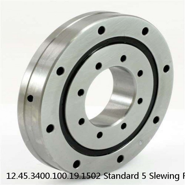 12.45.3400.100.19.1502 Standard 5 Slewing Ring Bearings