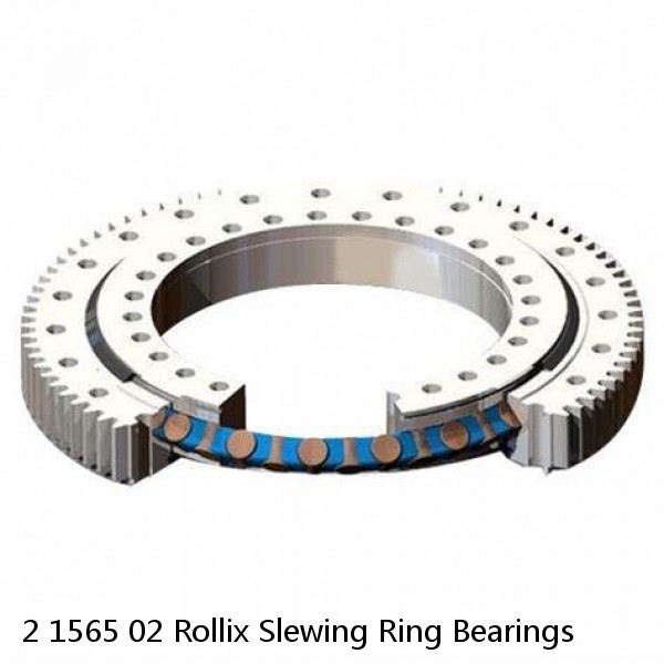 2 1565 02 Rollix Slewing Ring Bearings