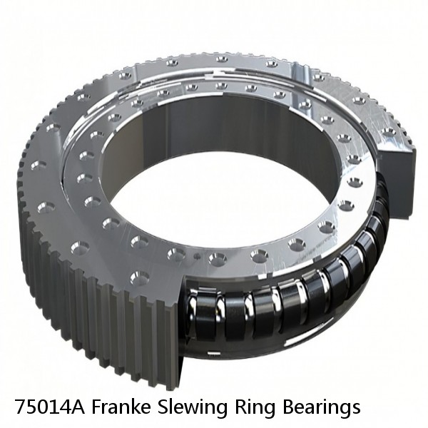 75014A Franke Slewing Ring Bearings