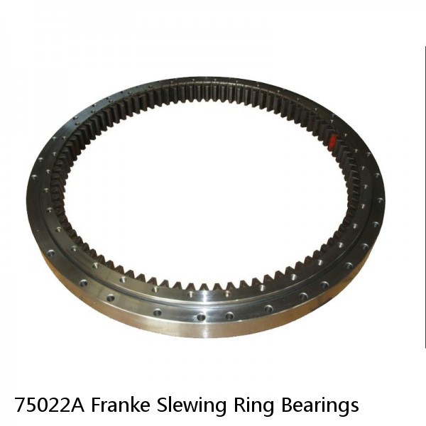 75022A Franke Slewing Ring Bearings