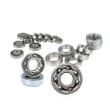 Deep Groove Ball Bearing NSK 6006zz, 6006 2RS, 6007zz, 6007 2RS for Fan, Motor Bearing, Gearbox Bearing