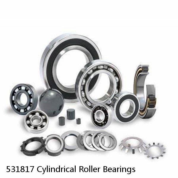 531817 Cylindrical Roller Bearings