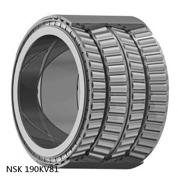 190KV81 NSK Four-Row Tapered Roller Bearing