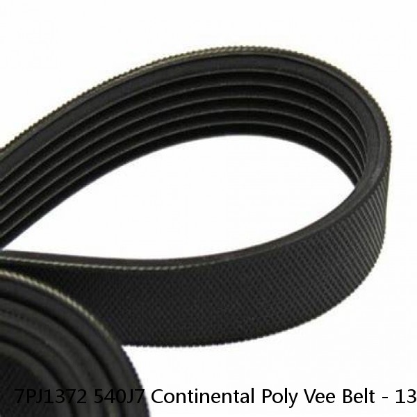 7PJ1372 540J7 Continental Poly Vee Belt - 1372mm /54" Long - 7 Ribs